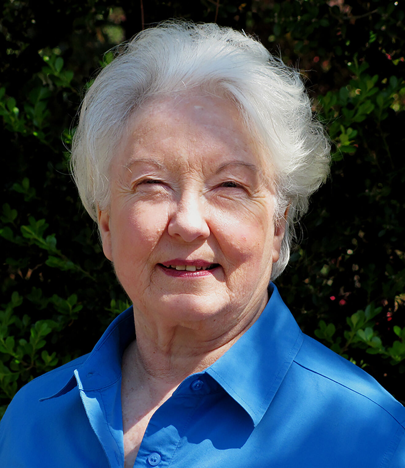 Judi